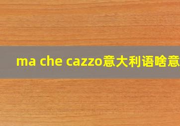 ma che cazzo意大利语啥意思